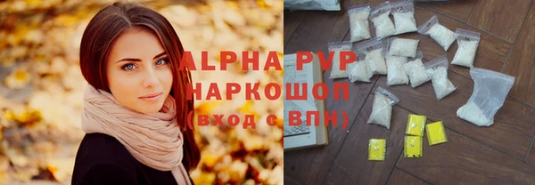 индика Дмитриев